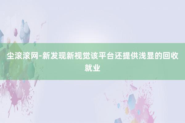 尘滚滚网-新发现新视觉该平台还提供浅显的回收就业